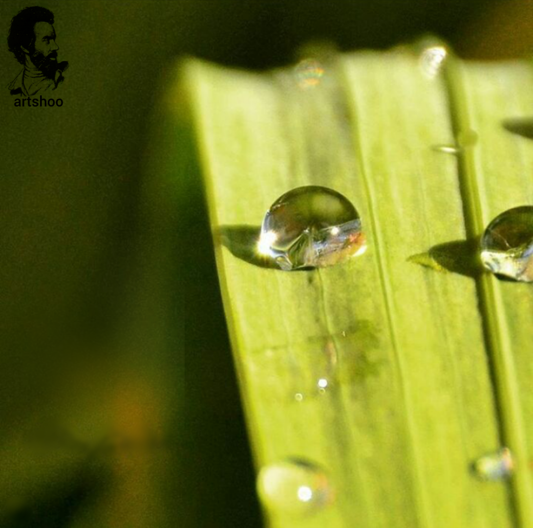 مدل اورژینال رنگ روغن